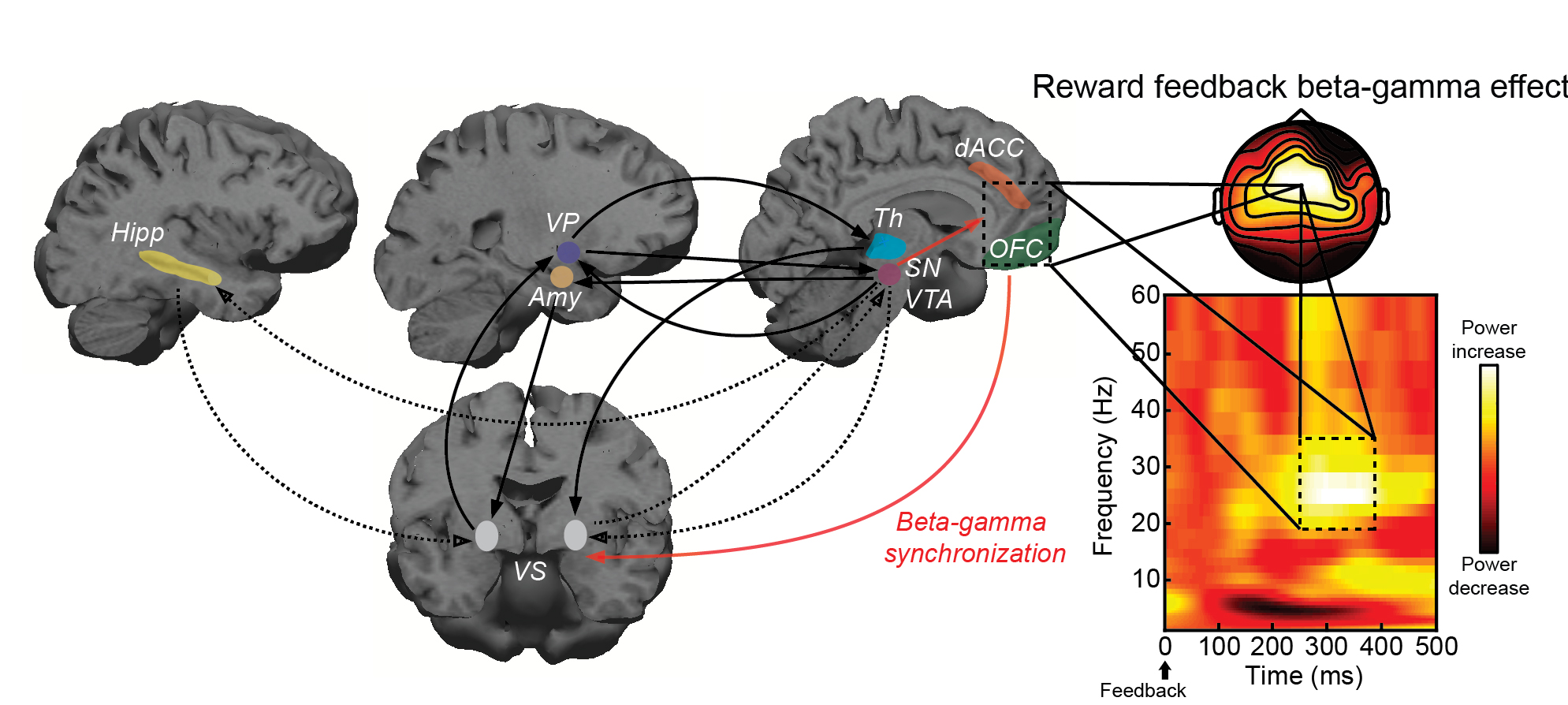 Noninvasive neuromodulation for obsessive-compulsive behaviors