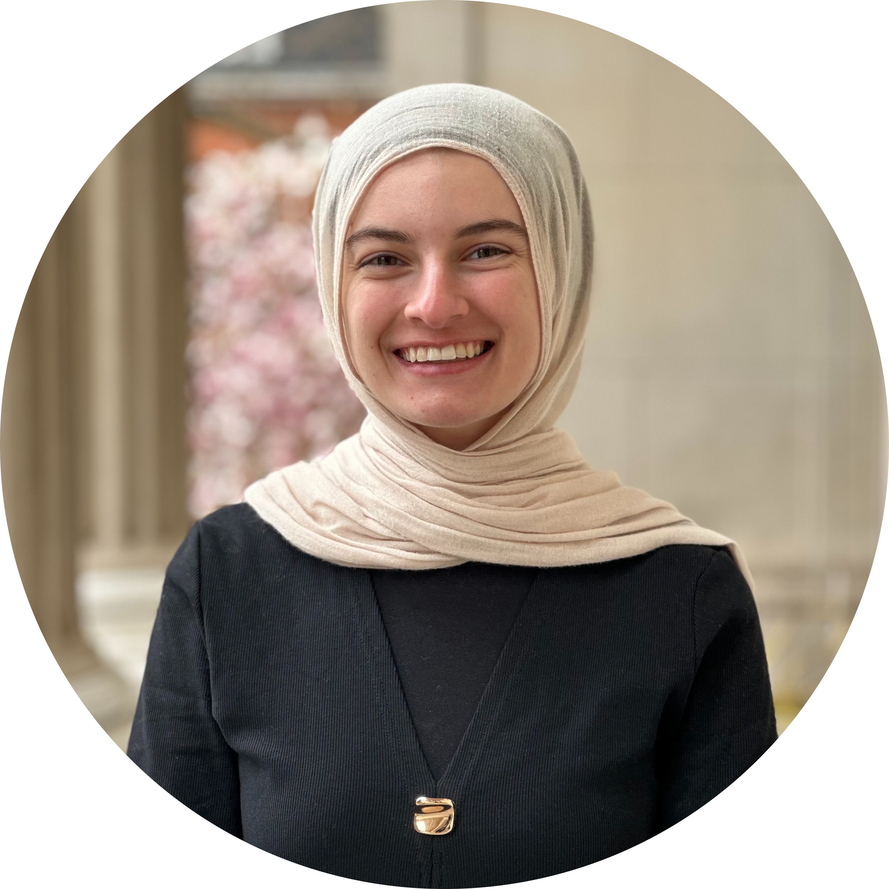 Go to the profile of Laila Abed