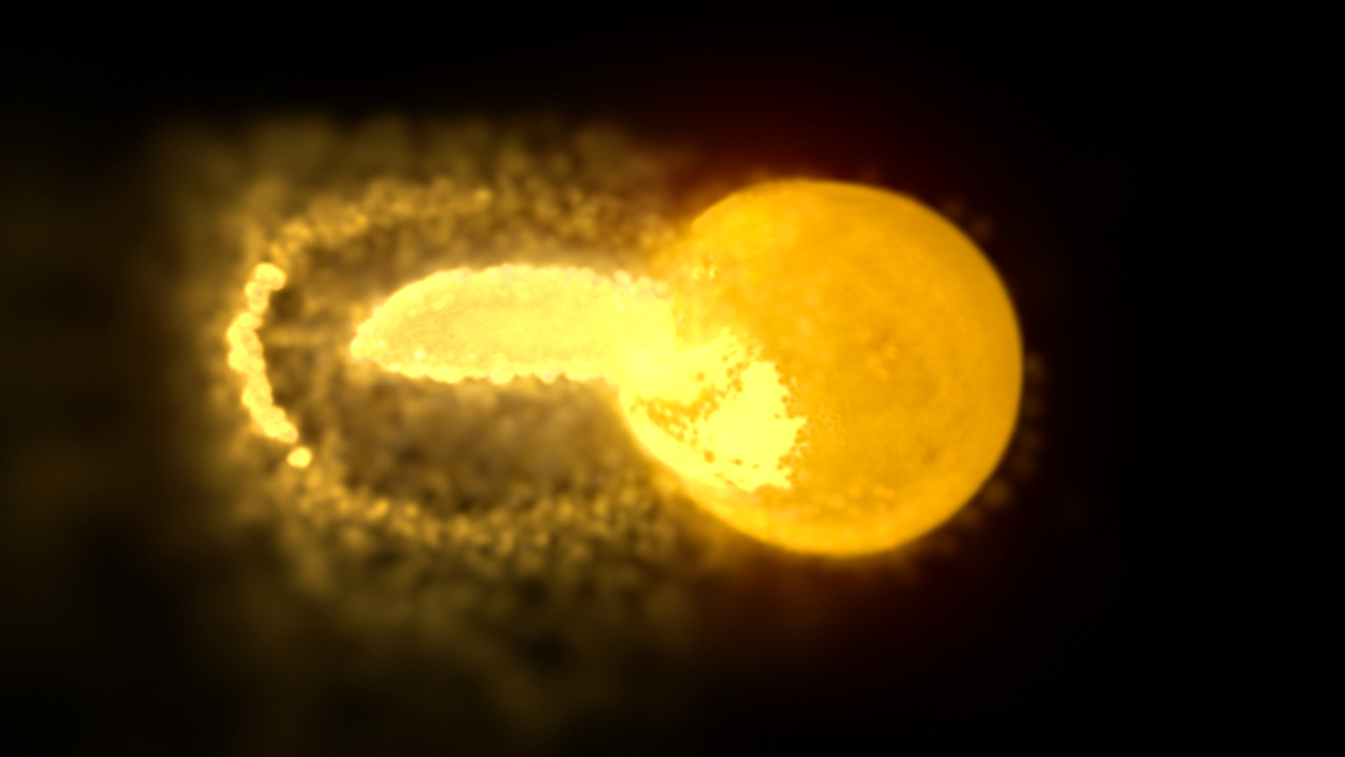 Terrestrial magma ocean origin of the Moon