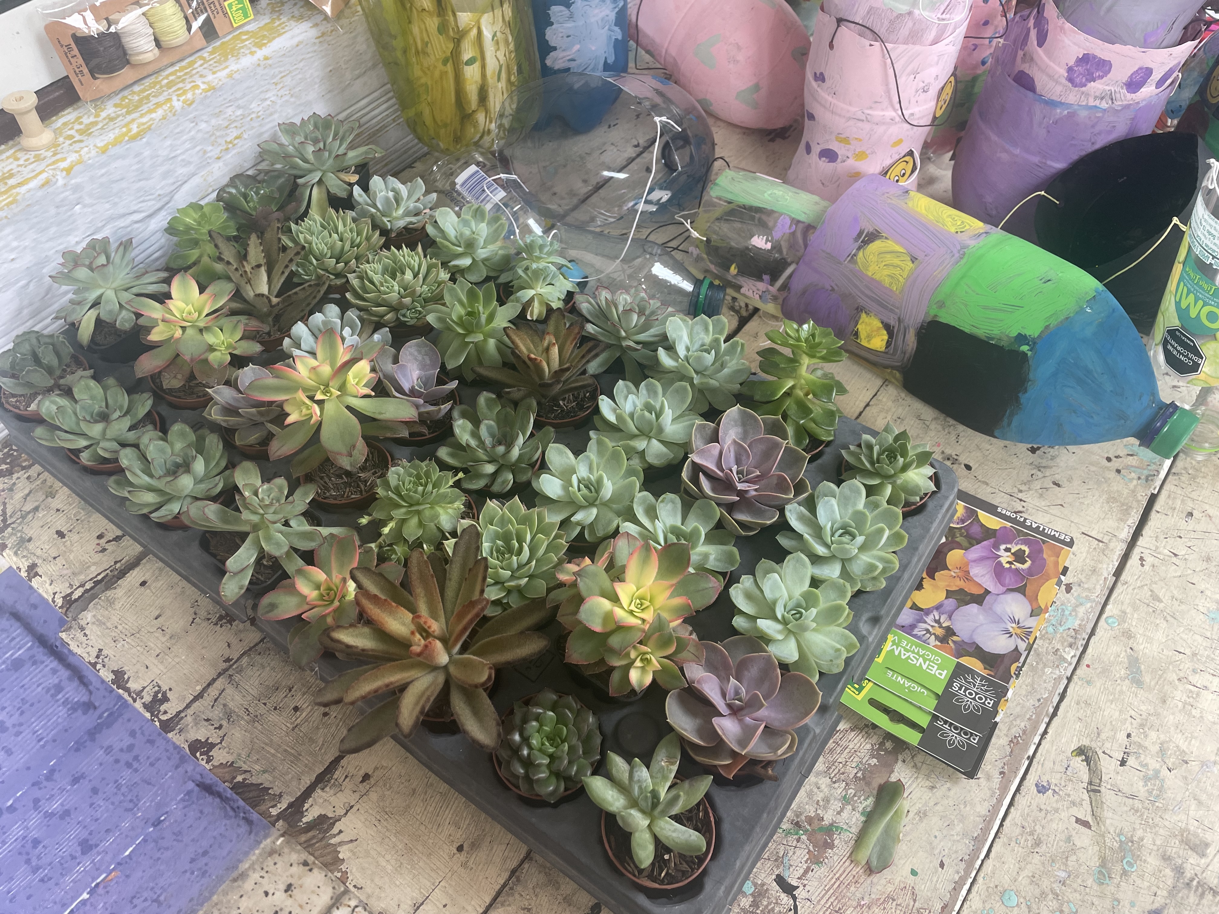 Bringing the Pieces Together: My Fourth Week in Medellín