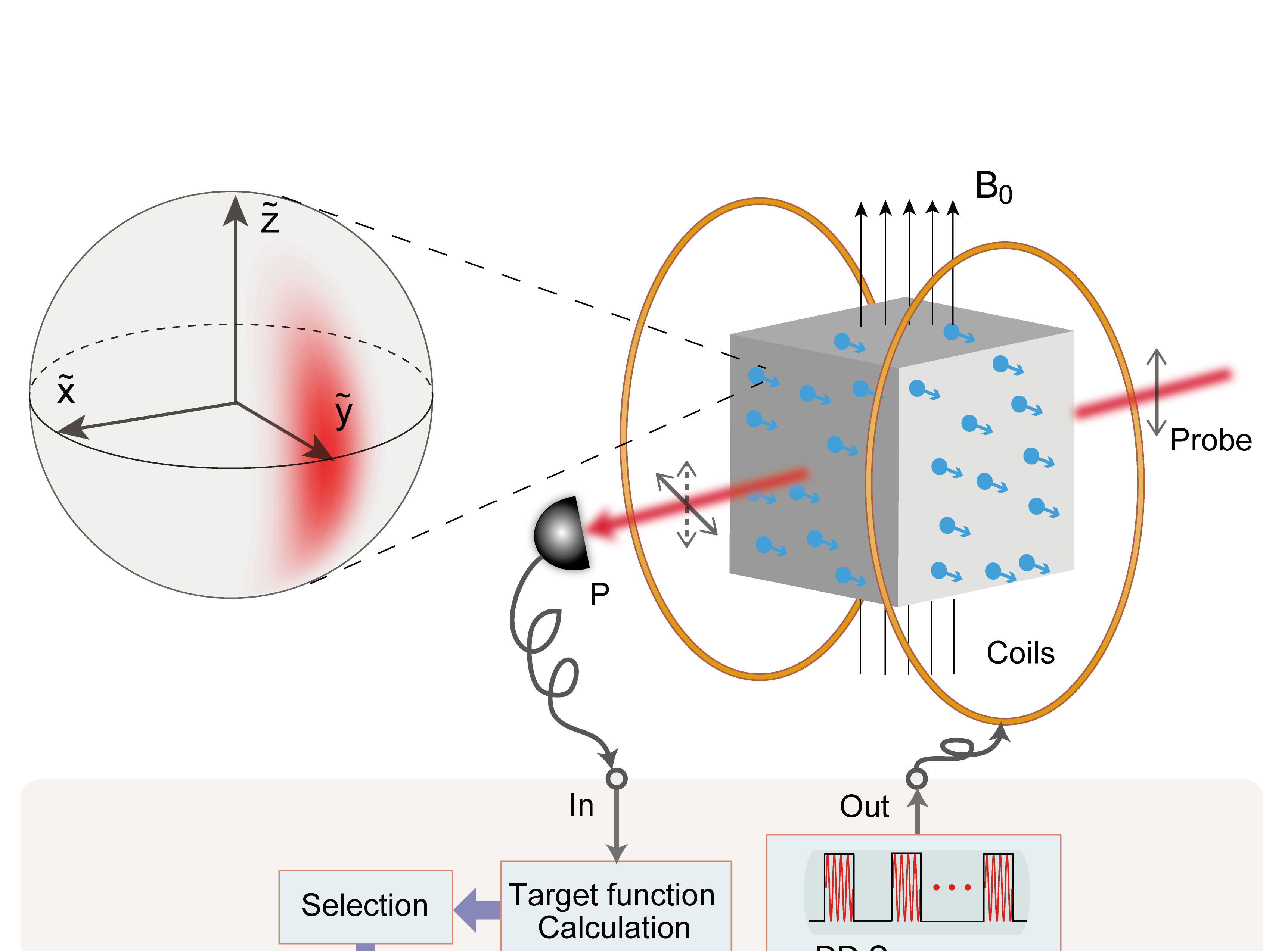 Squeezing spin state via geomagnetic field